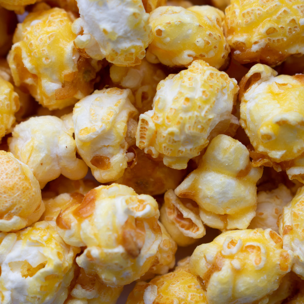 Gourmet Popcorn Mini Bag Multipack Bundle - 48 bags